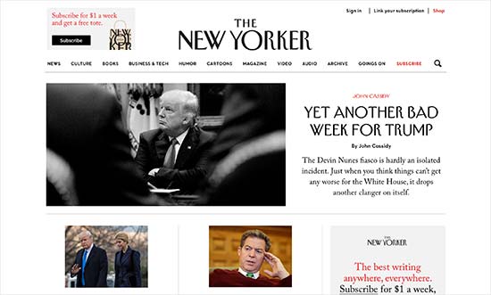 The New Yorker